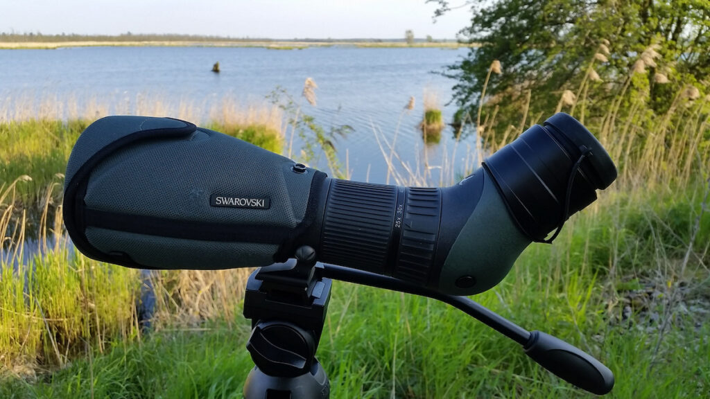 Spotting Scope on tripod in the fiel (covered by a stay-on case)