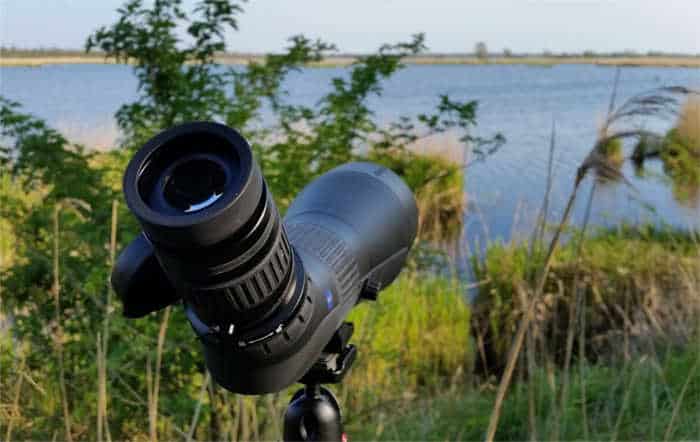 Spotting scope test during nature observations in the field (Zeiss spotting scope)