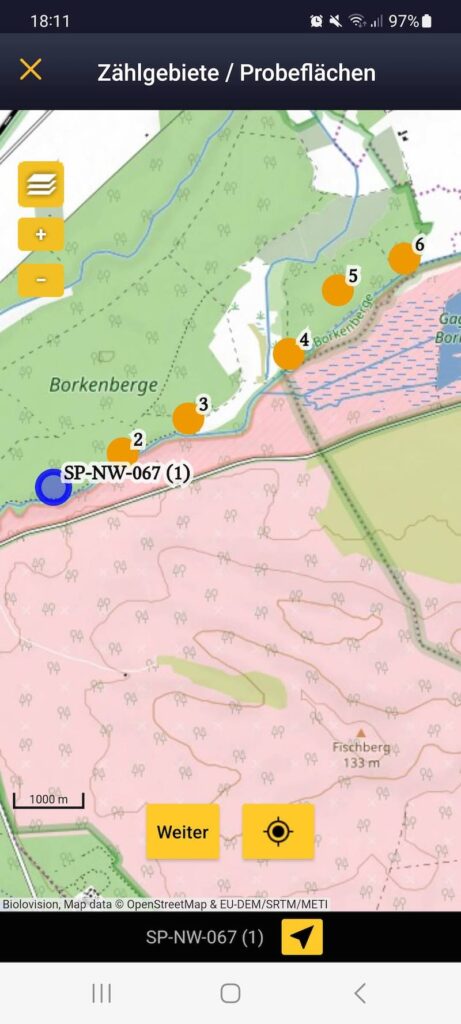 Route Spechtmonitoring in Borkenberge (Karte)